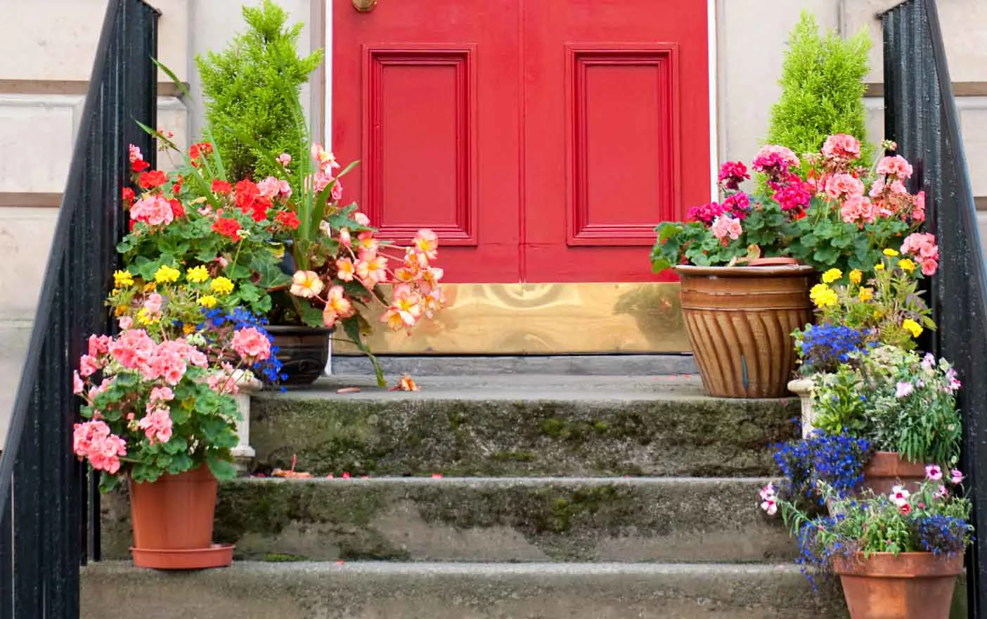 Colorful flowers in pots on stone steps to a red door