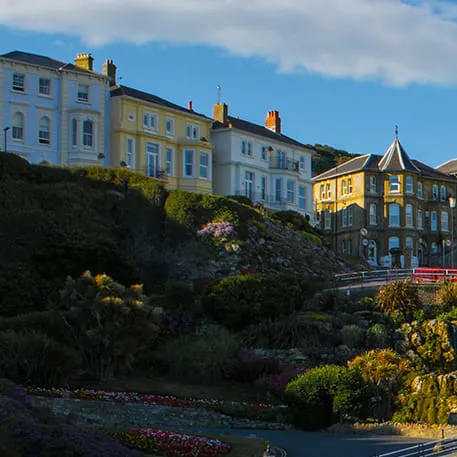Multicolored houses on a hillside with gardens