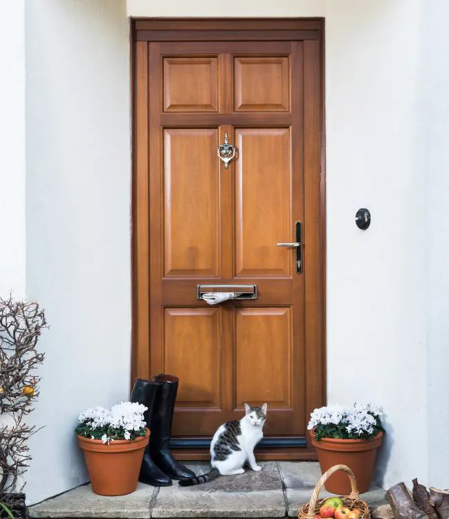 Wooden door with a cat sitting on the doorstep