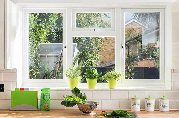 White window with greenery outside