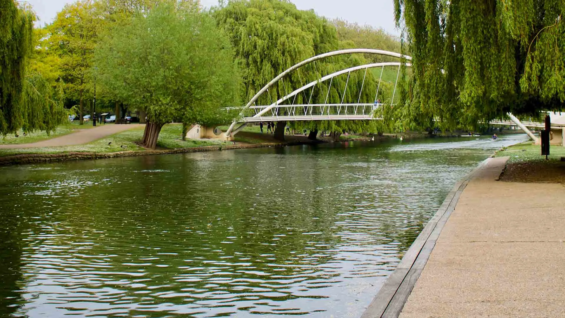 River scene with bridge and trees