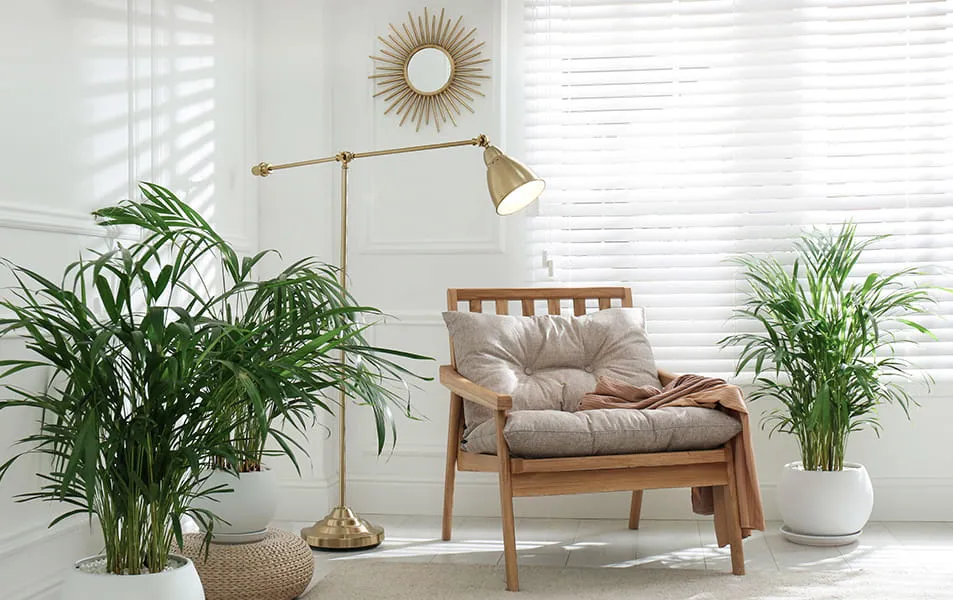 Light beige armchair with wooden frame and plants
