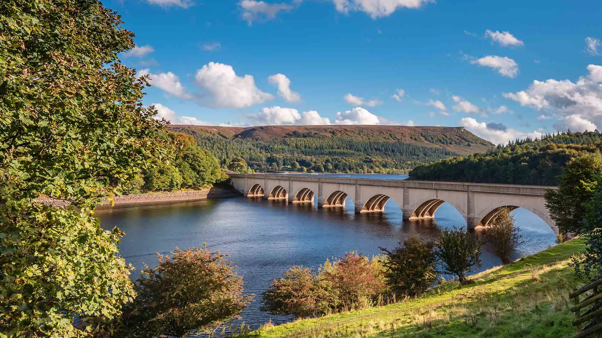 Bridge spanning a lake surrounded by trees