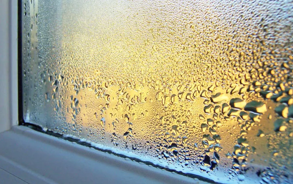 Water droplets on window glass, golden yellow hues