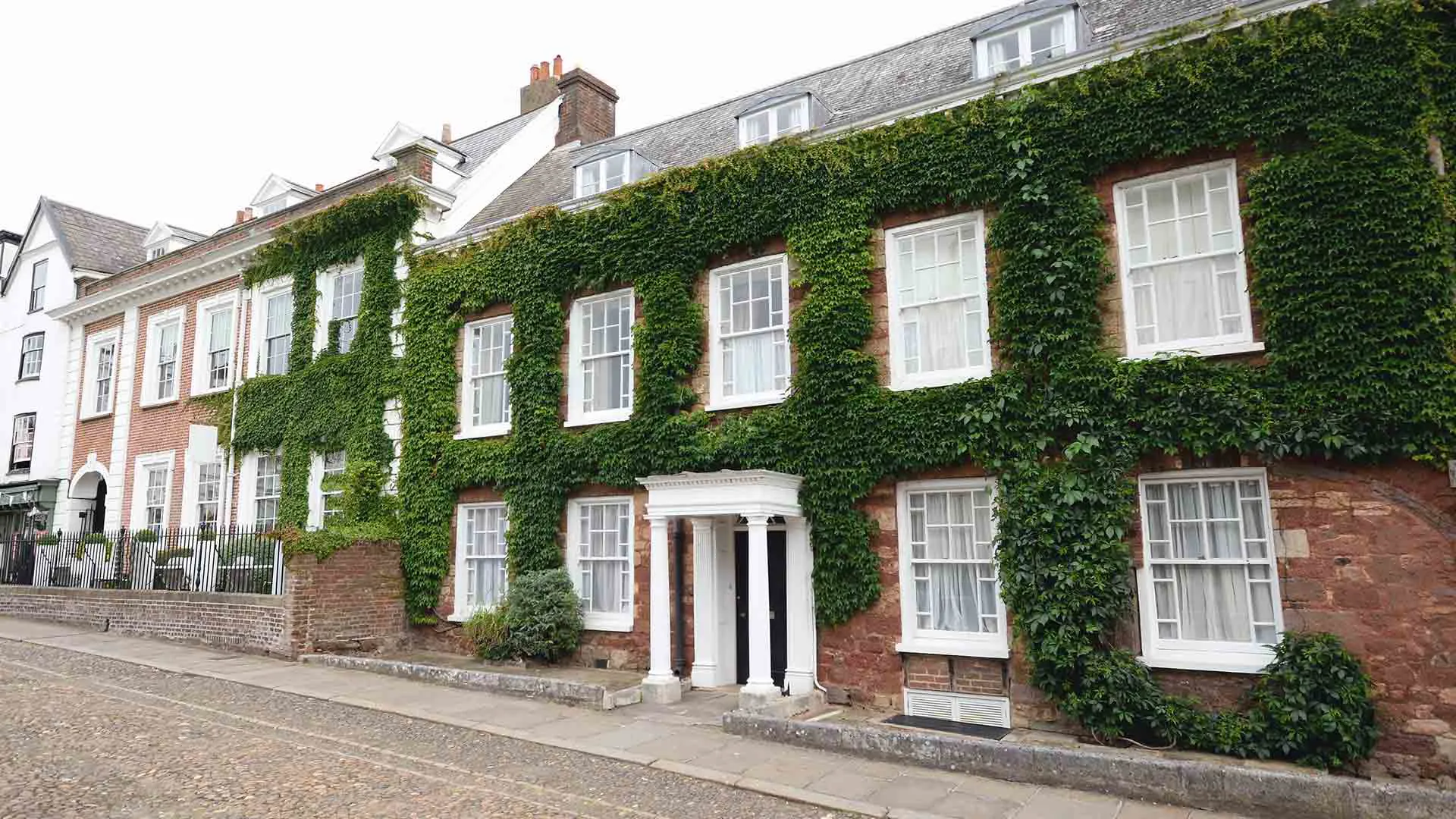 Brick building with green ivy and white windows
