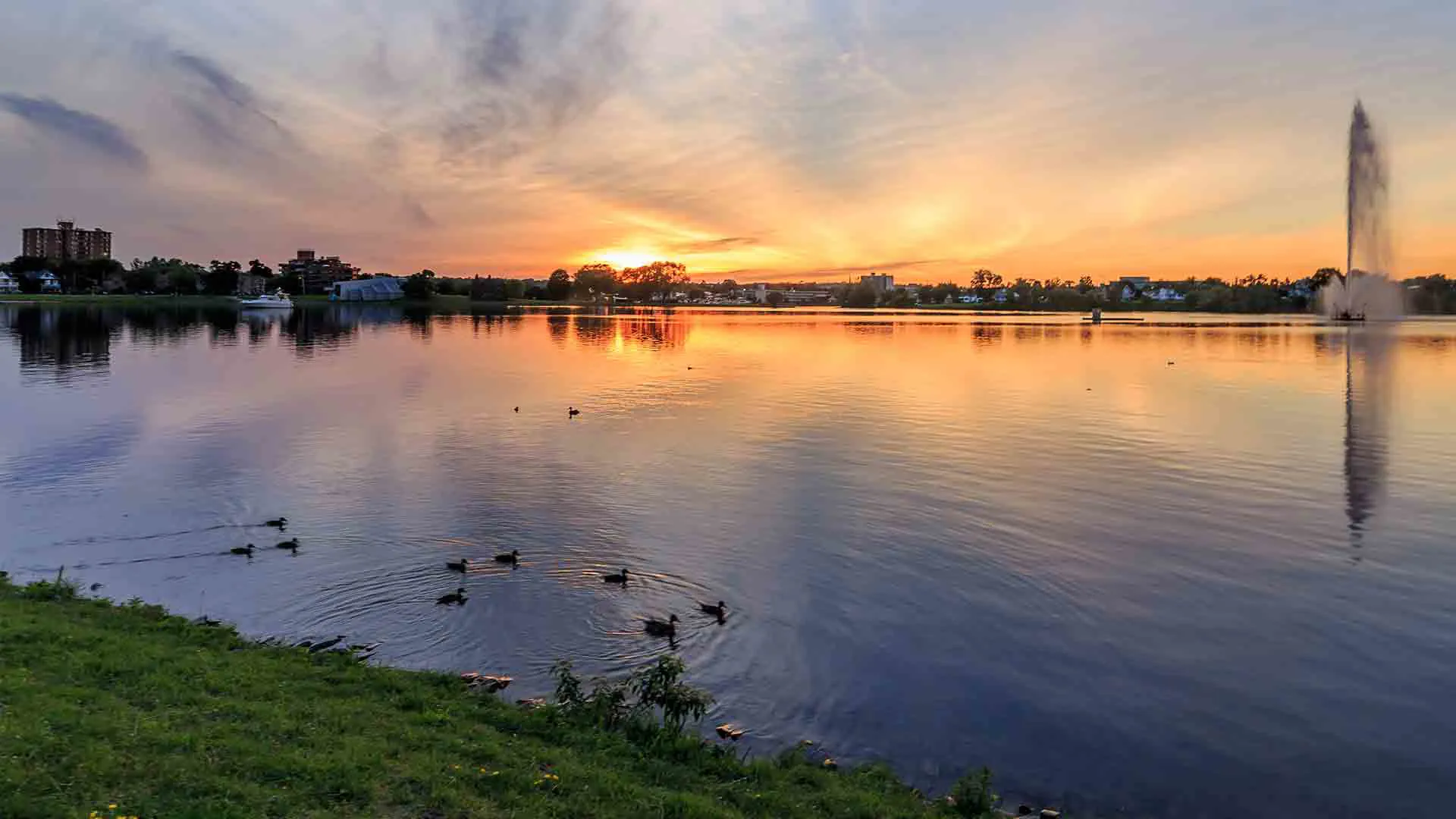 Sunset over lake with ducks and fountain