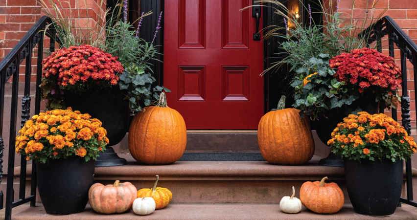 Halloween door decorations - colour themed display