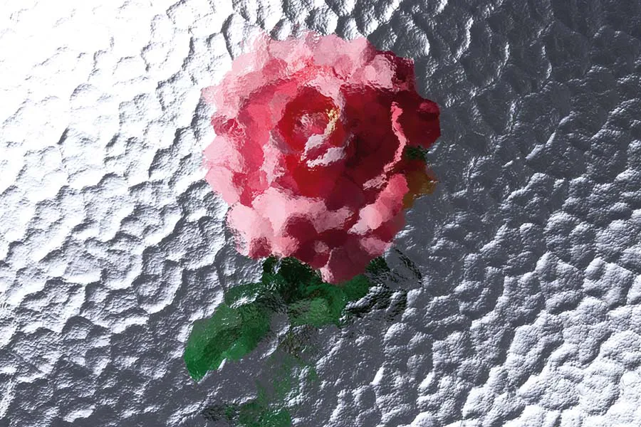 Pink rose on textured glass